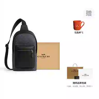 COACH West Pack 20
