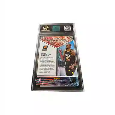 PANINI KD RPA