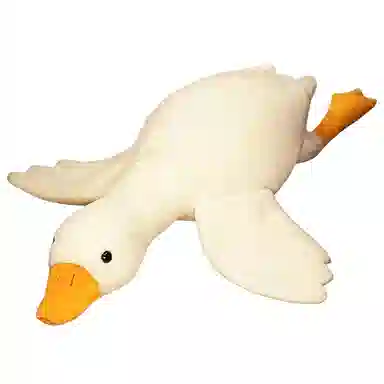 40cm70cm90cm135cm160cm