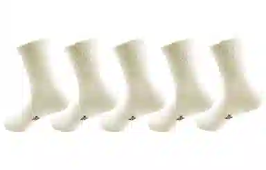 361 5