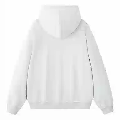 ROBINHOOD Colorblock Logo Hoodie