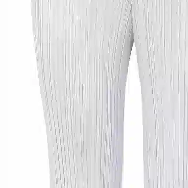 PLEATS PLEASE ISSEY MIYAKE