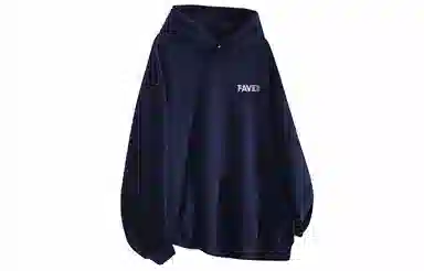 FAVEPOP Hoodie