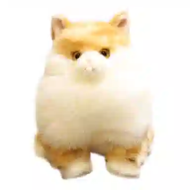 18cm22cm