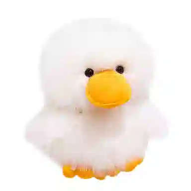 25cm30cm