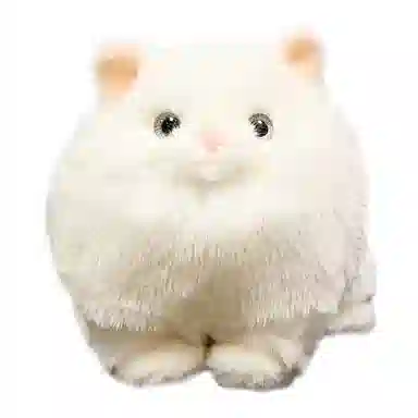 18cm22cm