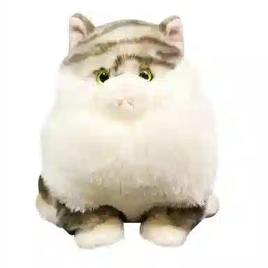 18cm22cm