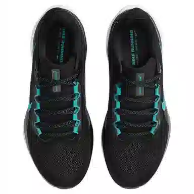 Nike Pegasus 41