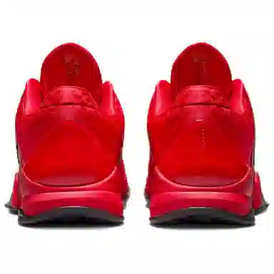Nike Kobe 5 Protro Year of the Mamba