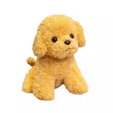 19cm24cm