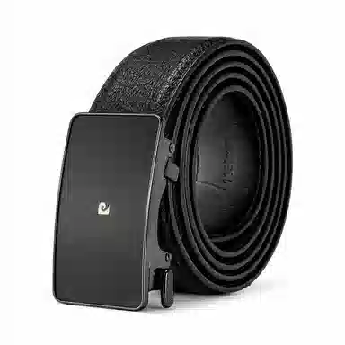 PIERRE CARDIN logo 3.45CM