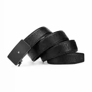 PIERRE CARDIN logo 3.45CM