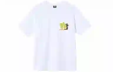 Stussy Desert Bloom Tee T