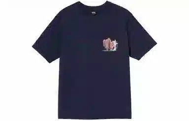Stussy Desert Bloom Tee T