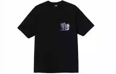 Stussy Desert Bloom Tee T