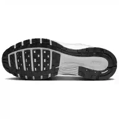 Nike P-6000 Silver White