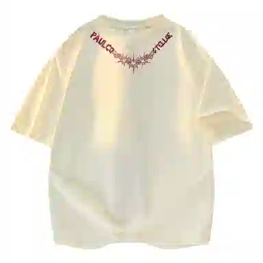 PAUL COSTELLOE T