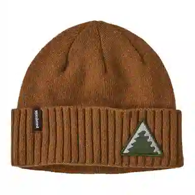 Patagonia Beanie
