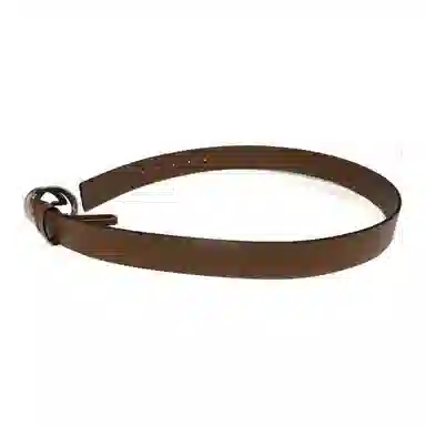 Gucci Belt Brown