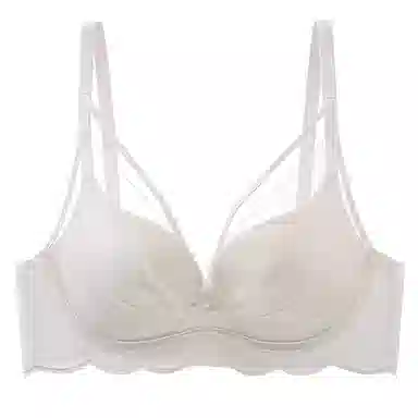 二三二三 纯色无痕聚拢上托收副乳无钢圈防下垂蕾丝美背舒适透气文胸 女款 礼盒装