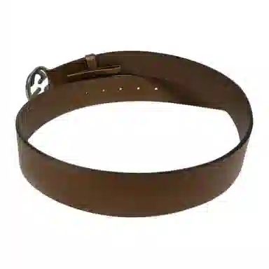 Gucci Belt Brown