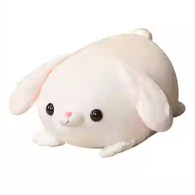 45cm 55cm