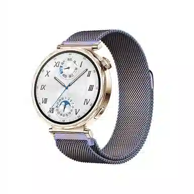 Watch4Watch3GT4532ProMagic2 145230mm