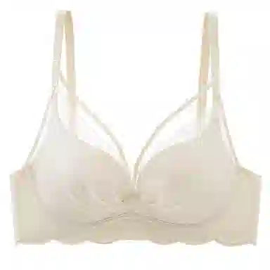 二三二三 纯色无痕聚拢上托收副乳无钢圈防下垂蕾丝美背舒适透气文胸 女款 礼盒装