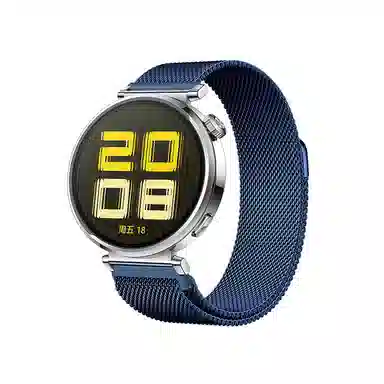 Watch4Watch3GT4532ProMagic2 145230mm