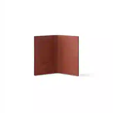 Louis Vuitton Canvas Passport Holder Brown