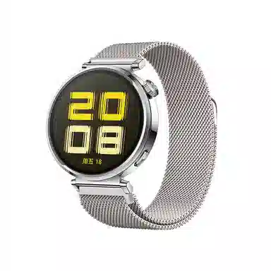 Watch4Watch3GT4532ProMagic2 145230mm