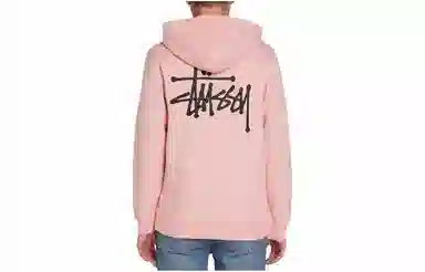 Stussy SS22 Basic Stussy Zip Hood Logo