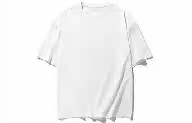 FireMonkey T