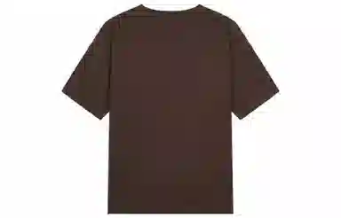 Champion ROCHESTER SS24 C-LogoT