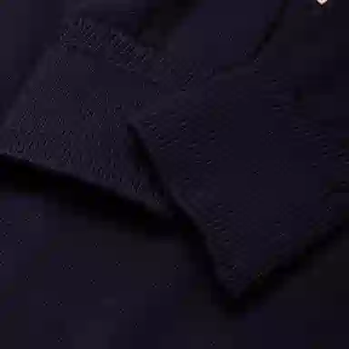 Tommy Hilfiger Logo