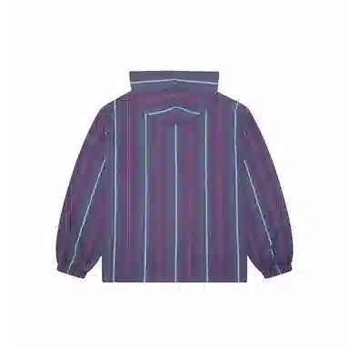 Vision Street Wear Hoodie