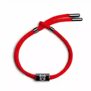 灰鱼 十二生肖叠戴新中式国潮风个性日常通勤本命年转运珠太岁蛇年三合六合简约可调节手工编制编织好运 红绳 手链 男女同款情侣款