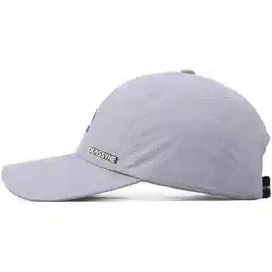 DENSSYNE