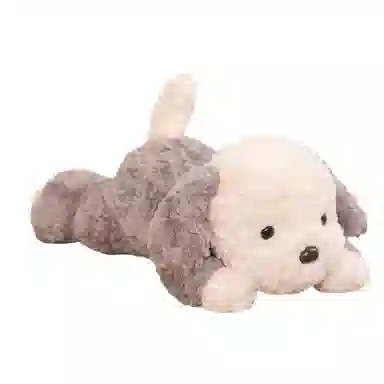 50cm