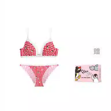 MISS CURIOSITY Comfort Wireless Bra Set