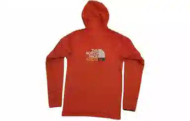 GUCCI x THE NORTH FACE Logo