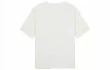 Champion ROCHESTER SS24 TLogo