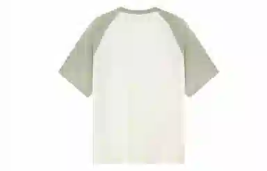 ICONS Lab SS23 icsT