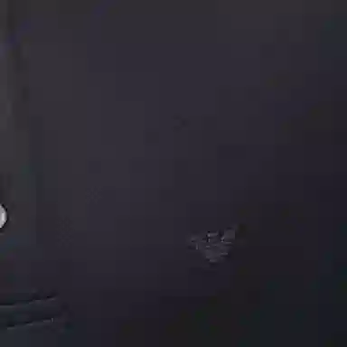 EMPORIO ARMANI LogoPolo