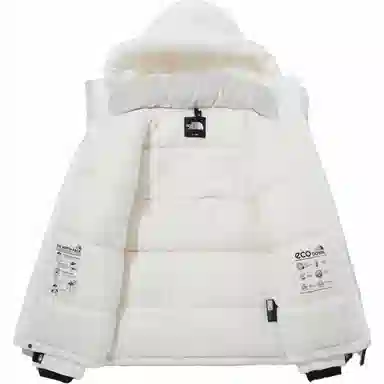 THE NORTH FACE Logo