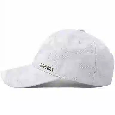 DENSSYNE