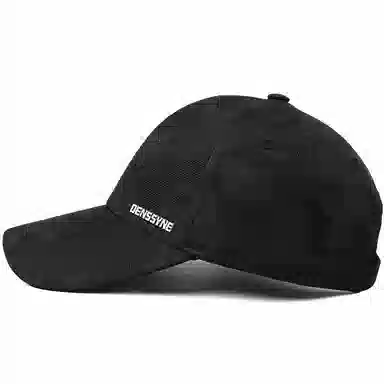 DENSSYNE