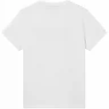 levis logoT