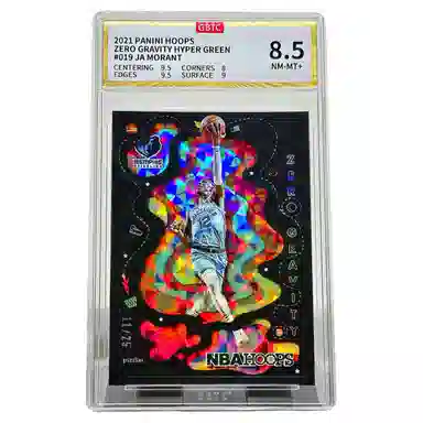PANINI HOOPS 1125