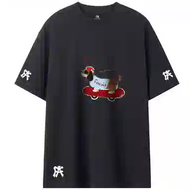 FOASIS T
